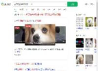 母亲立遗嘱给宠物狗十几万_360搜索