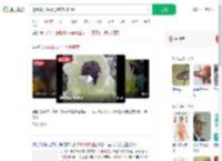 挖44株野生雪莲售卖2000元_360搜索