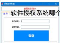 软件授权系统哪个好？2025年主流方案对比
