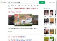 大连一梅花鹿与行驶小车相撞_360搜索