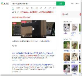 反锁公用门遭撬锁宠物猫被扔_360搜索