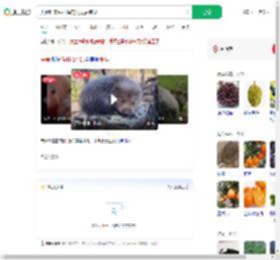 夫妻吃来偷柑橘的竹鼠后肺炎_360搜索