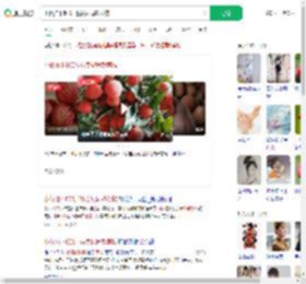小伙拍下800斤杨贵妃同款荔枝_360搜索