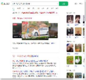 大连一梅花鹿与行驶小车相撞_360搜索