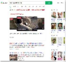 土狗长毛靠智商在狗群称霸_360搜索