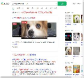 母亲立遗嘱给宠物狗十几万_360搜索