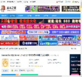 Nicat17官方下载 Nicat for SQL Server 17 v17.2.7 中文免费企业版(附安装教程) 下载-脚本之家
