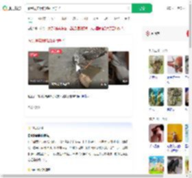 看到现实版的鹬蚌相争了_360搜索