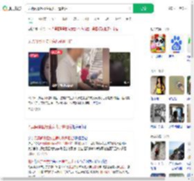 无票闯景区接生病儿子遭阻拦_360搜索