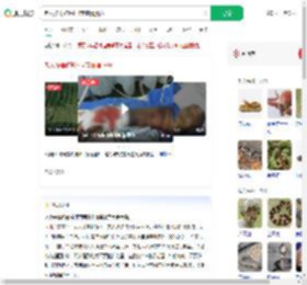 老人被毒蛇咬打4支血清脱险_360搜索