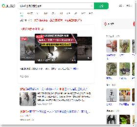 眼镜蛇进院被狗狗提醒_360搜索