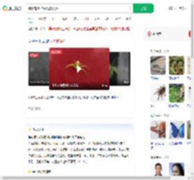 蜘蛛背上花纹酷似人脸_360搜索
