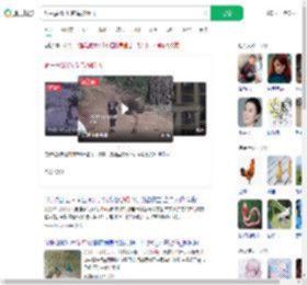 饲主摸250斤鸵鸟被踹飞_360搜索