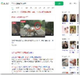 在331国道偶遇东北虎遛弯_360搜索